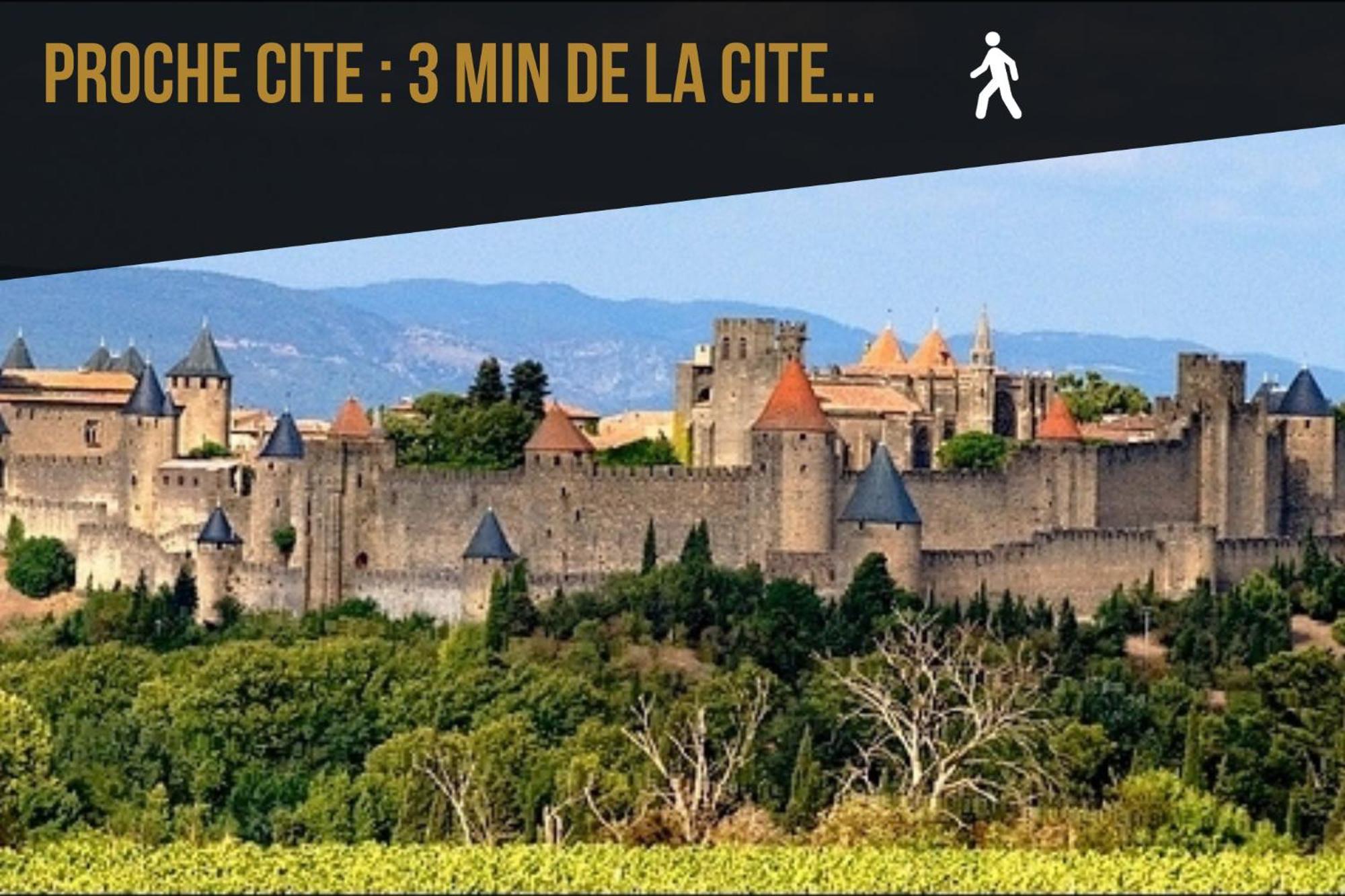 L'Or Vert, Castle View, Private Parking, Air Conditioner, Netflix, 160M From Medieval Town Carcassonne Zewnętrze zdjęcie